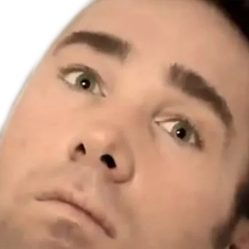 human face eyebrow person