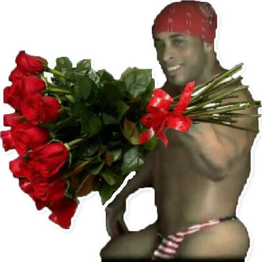 flower rose cut flowers