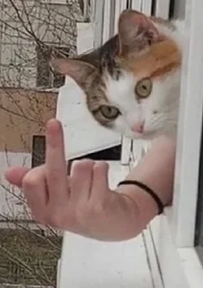 Sticker Гачитудасюда - 9