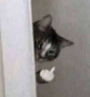 Sticker Гачитудасюда - 1