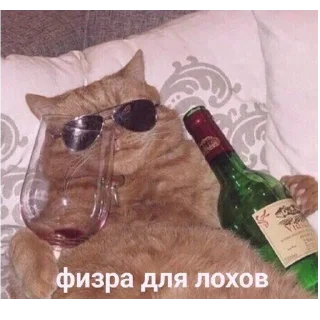 Sticker *Мемы на все случаи жизни* - 4