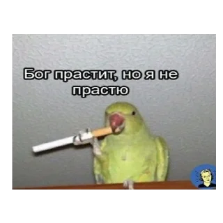 Sticker *Мемы на все случаи жизни* - 11