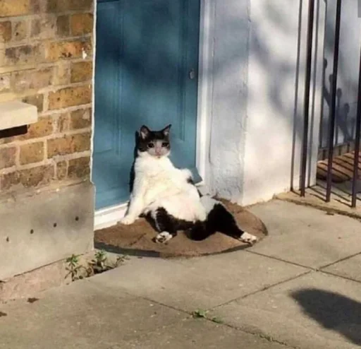 Стикер gaggini - 7