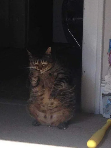 Стикер gaggini - 6