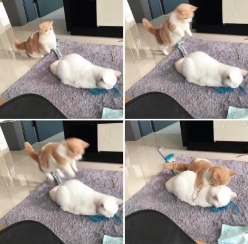 Стикер gaggini - 5