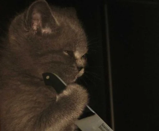 Стикер gaggini - 4