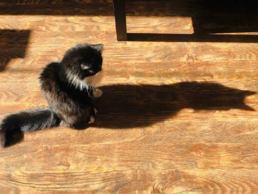 Стикер gaggini - 0