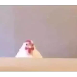 Sticker ✨⇱ᵉᵛⁱˡ•ᶜᵒᵒᵏⁱᵉღ❁્᭄͜͡🌸✨⇲
Galletita:3 - 9