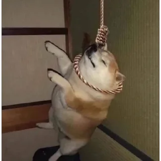 Sticker ✨⇱ᵉᵛⁱˡ•ᶜᵒᵒᵏⁱᵉღ❁્᭄͜͡🌸✨⇲
Galletita:3 - 1