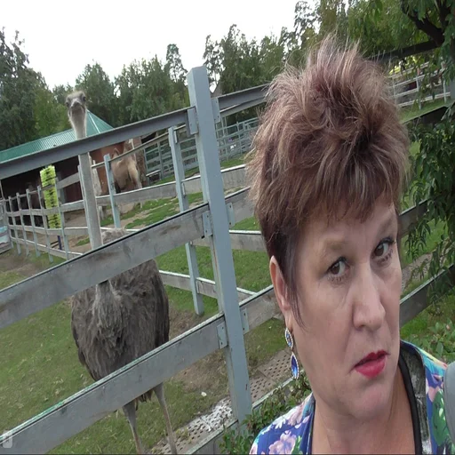 Стикер Obabok - 2