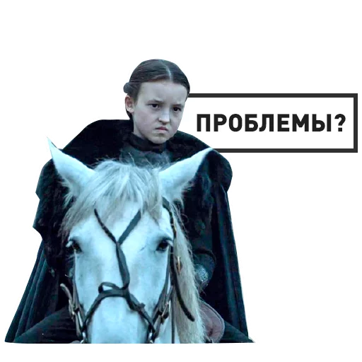 одежда жеребец кобыла