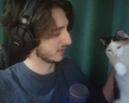 person indoor small to medium-sized cats