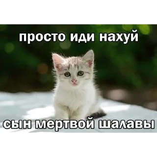 Sticker Иди нахуй - 1