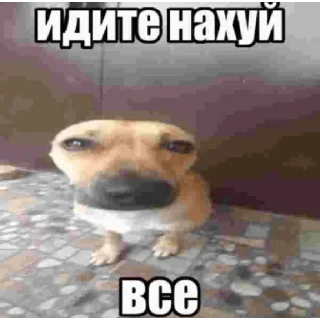 Sticker Иди нахуй - 6