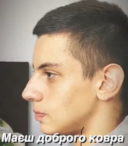 1B - человеческое лицо