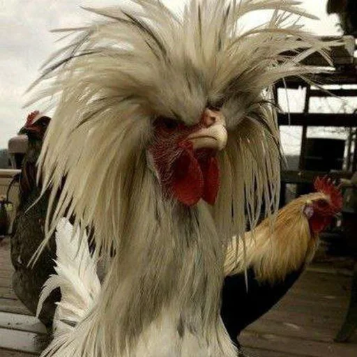 Sticker 6В ГаНгС - 11