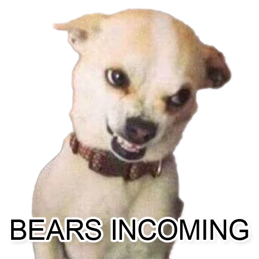 Sticker GangsterNo1 - 1