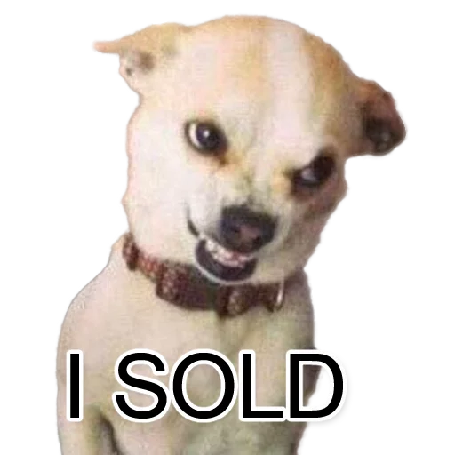 Sticker GangsterNo1 - 1