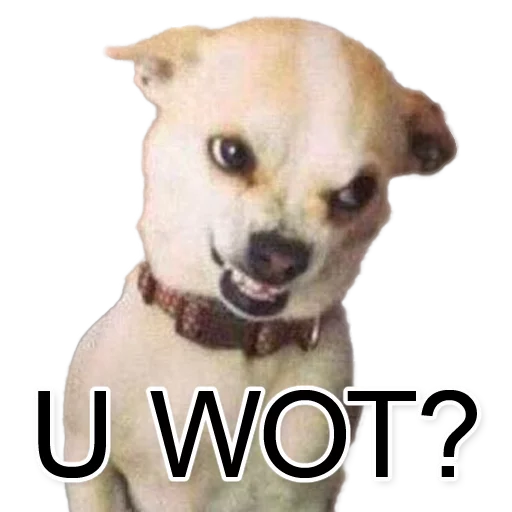 Sticker GangsterNo1 - 1