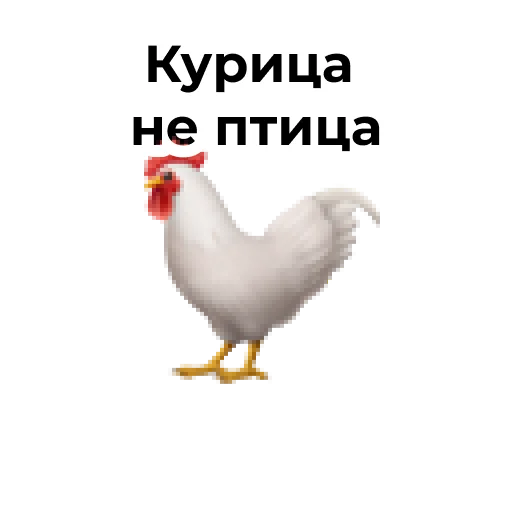 животное СМС птица