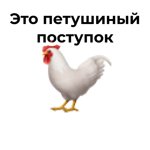 СМС животное птица