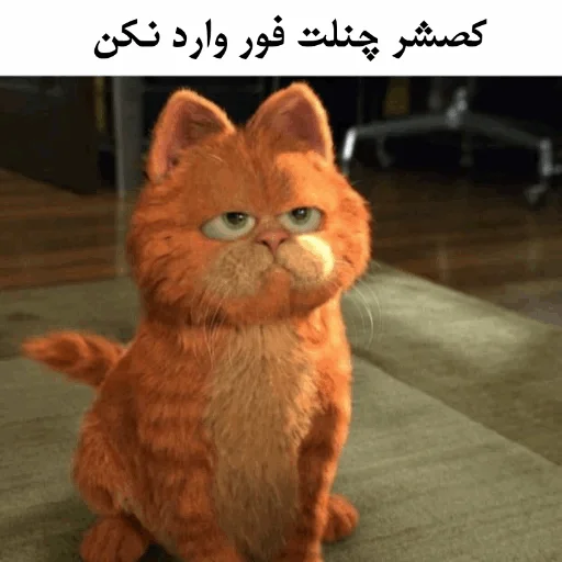 Стикер ɢᴀʀғɪʟᴅ @Gif_Error - 7