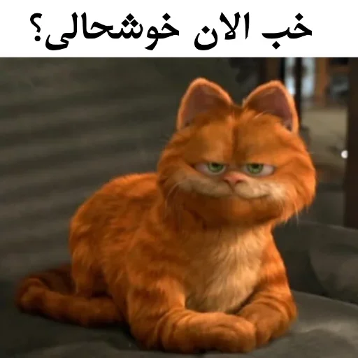 Стикер ɢᴀʀғɪʟᴅ @Gif_Error - 5