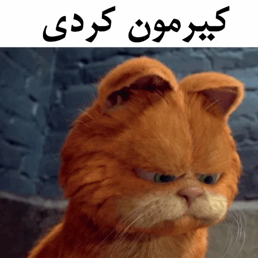 ɢᴀʀғɪʟᴅ @Gif_Error - 