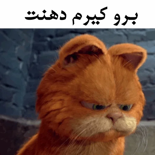 Стикер ɢᴀʀғɪʟᴅ @Gif_Error - 3