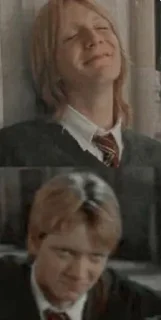 Sticker Гарри Поттер - 10