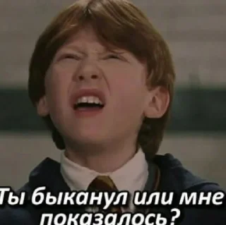 Sticker Гарри Поттер - 4