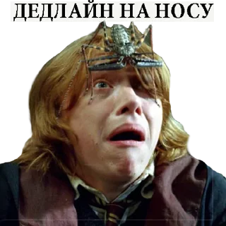 Sticker Больше стикеров : @StickersDVM2 - 0