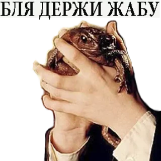 Sticker Больше стикеров : @StickersDVM2 - 5