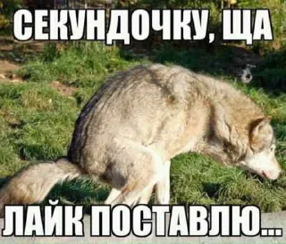 Sticker Gatillы2019 - 1