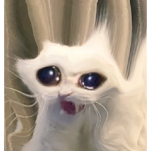 animal mammal small to medium-sized cats