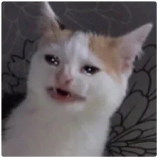 Стикер Cat Crying - 5