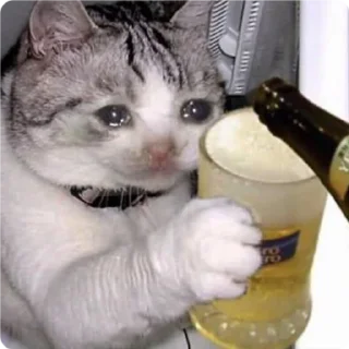 Стикер Cat Crying - 0