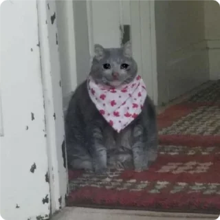 Стикер Cat Crying - 4