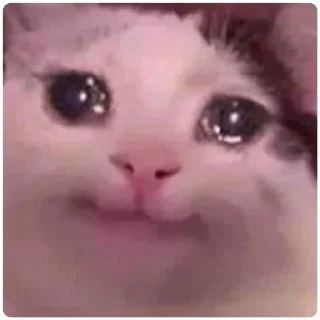 Стикер Cat Crying - 11