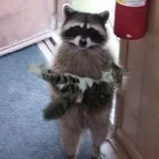 Sticker Gatinhos da Mand - 10