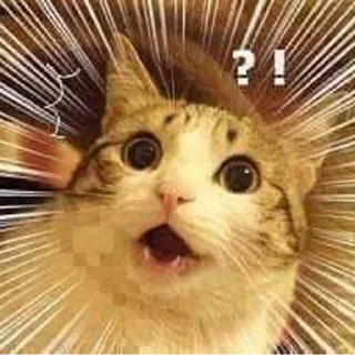 Sticker Gatinhos da Mand - 11