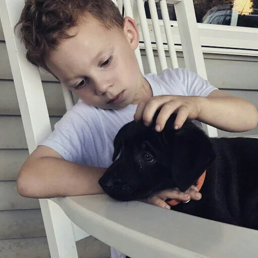 Человек порода собак домашнее животное