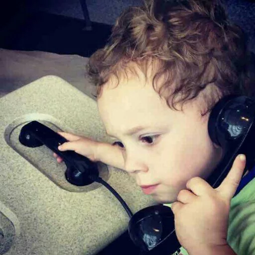 Человек человеческое лицо комнатный