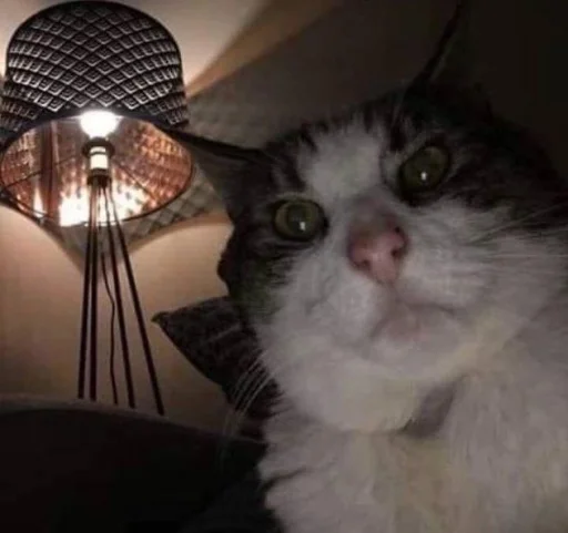 Стикер GavnaPapei - 1