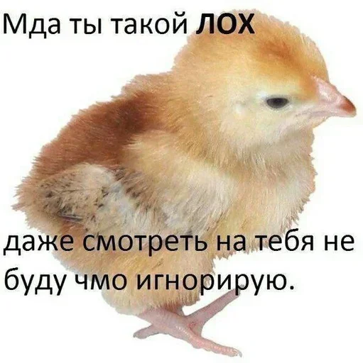 Sticker GcWyBPBnlk_by_Sticker363728bot - 1