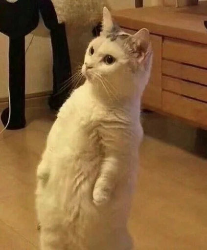 Стикер <3 :: @fStikBot - 9