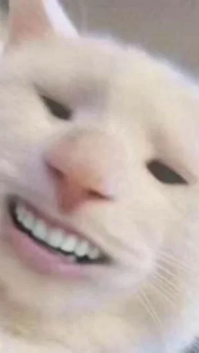 Стикер <3 :: @fStikBot - 1