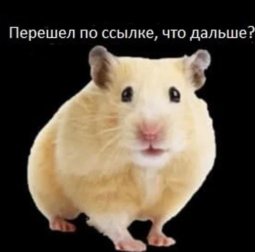 Стикер @zamik6 by Sea Team❤️ :: @fStikBot - 9