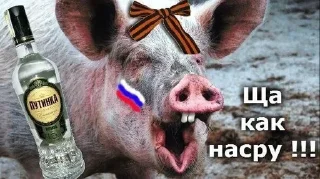 Sticker Свиноросы - 7