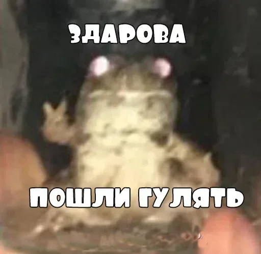 Стикер GeCfGhSYGihFkI_by_stickers_stealer_bot - 1